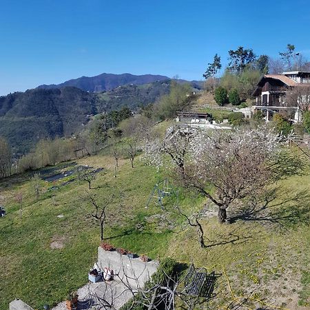 Teresa Campi Apartments Lake View By Gardadomusmea Tremosine Bagian luar foto