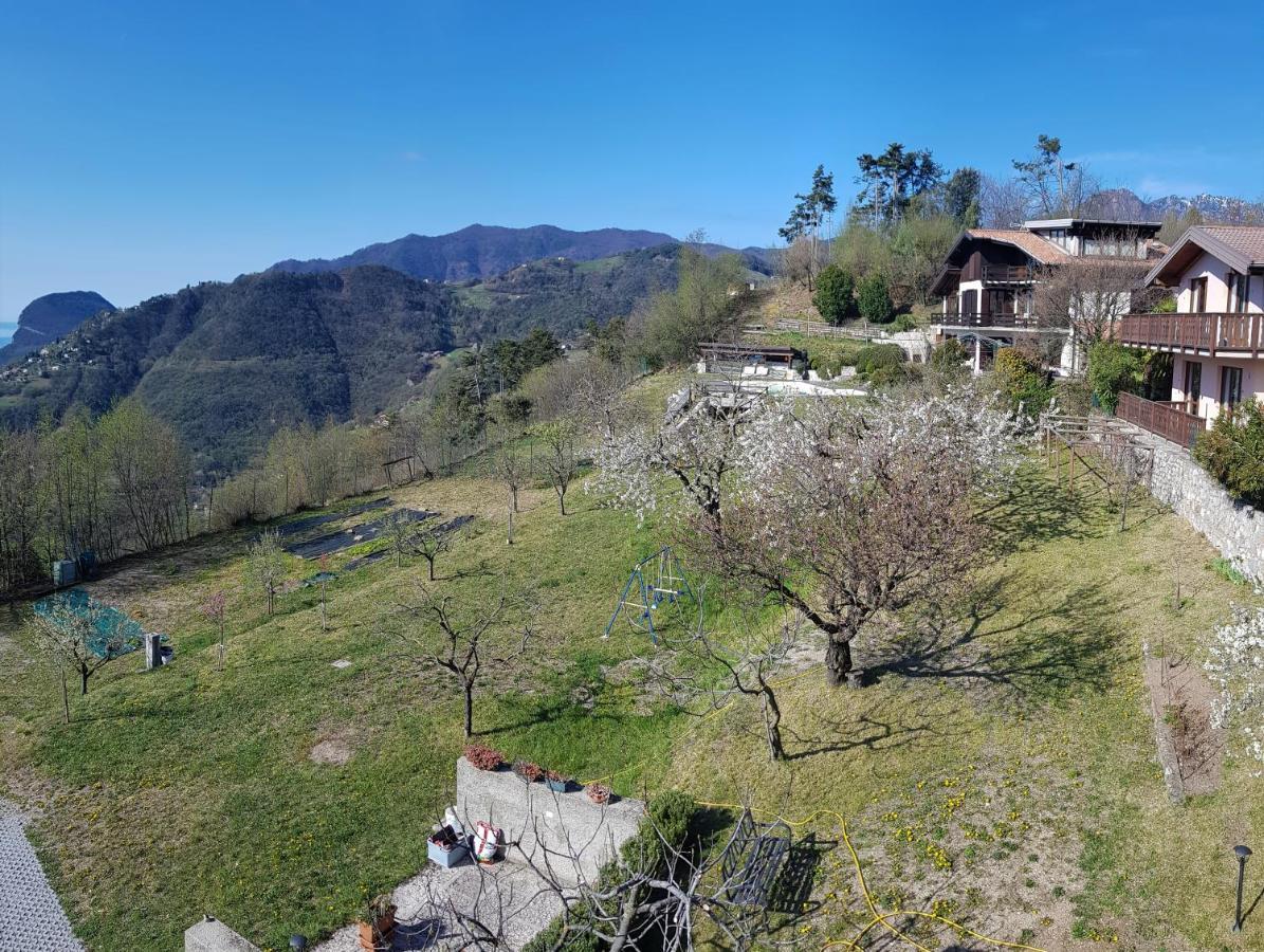 Teresa Campi Apartments Lake View By Gardadomusmea Tremosine Bagian luar foto